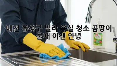 대전 유성구 빌라 욕실 청소, 곰팡이 물때 이젠 안녕!